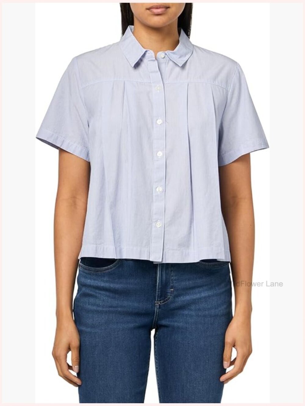 Pleated Button-Down Shirt - Long Sleeve, Cotton, Spread Collar